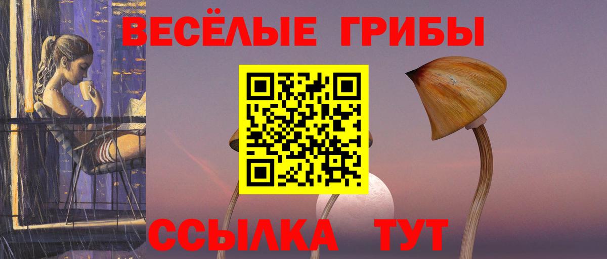 Псилоцибиновые грибы мицелий Миллерово