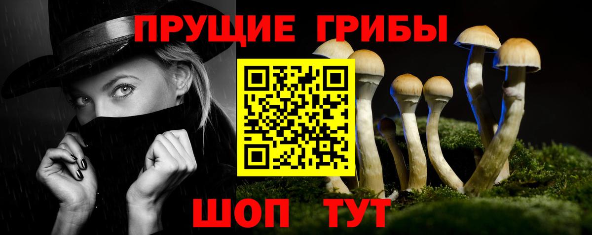 Псилоцибиновые грибы прущие грибы  Вход с VPN  Миллерово 